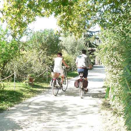 International Glamping Lago Di Bracciano เตรวินญาโน โรมาโน ภายนอก รูปภาพ