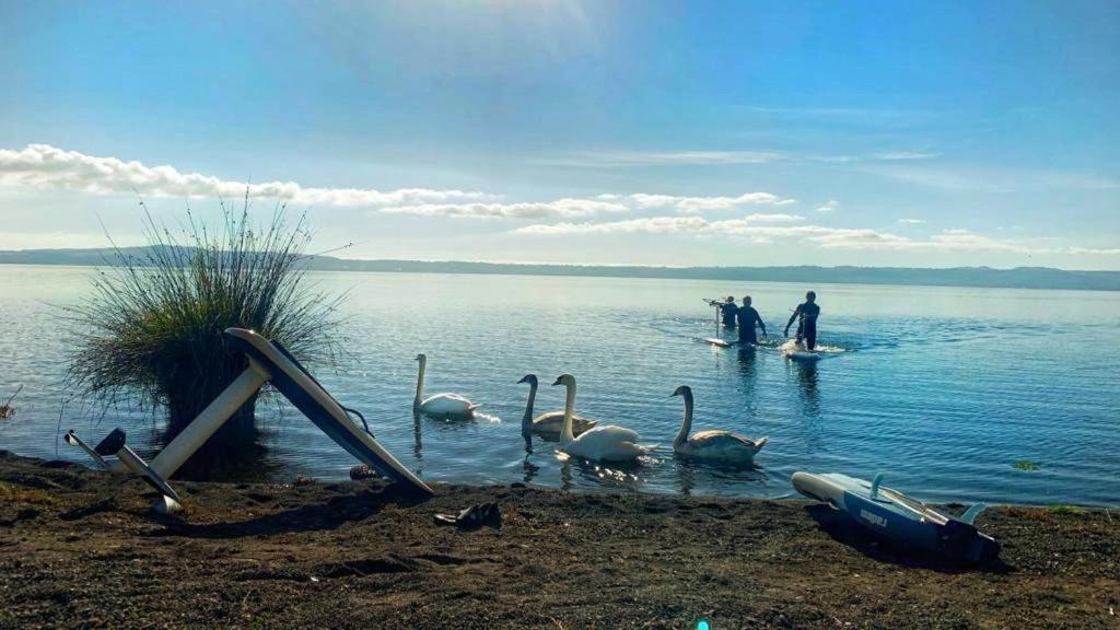 International Glamping Lago Di Bracciano เตรวินญาโน โรมาโน ภายนอก รูปภาพ