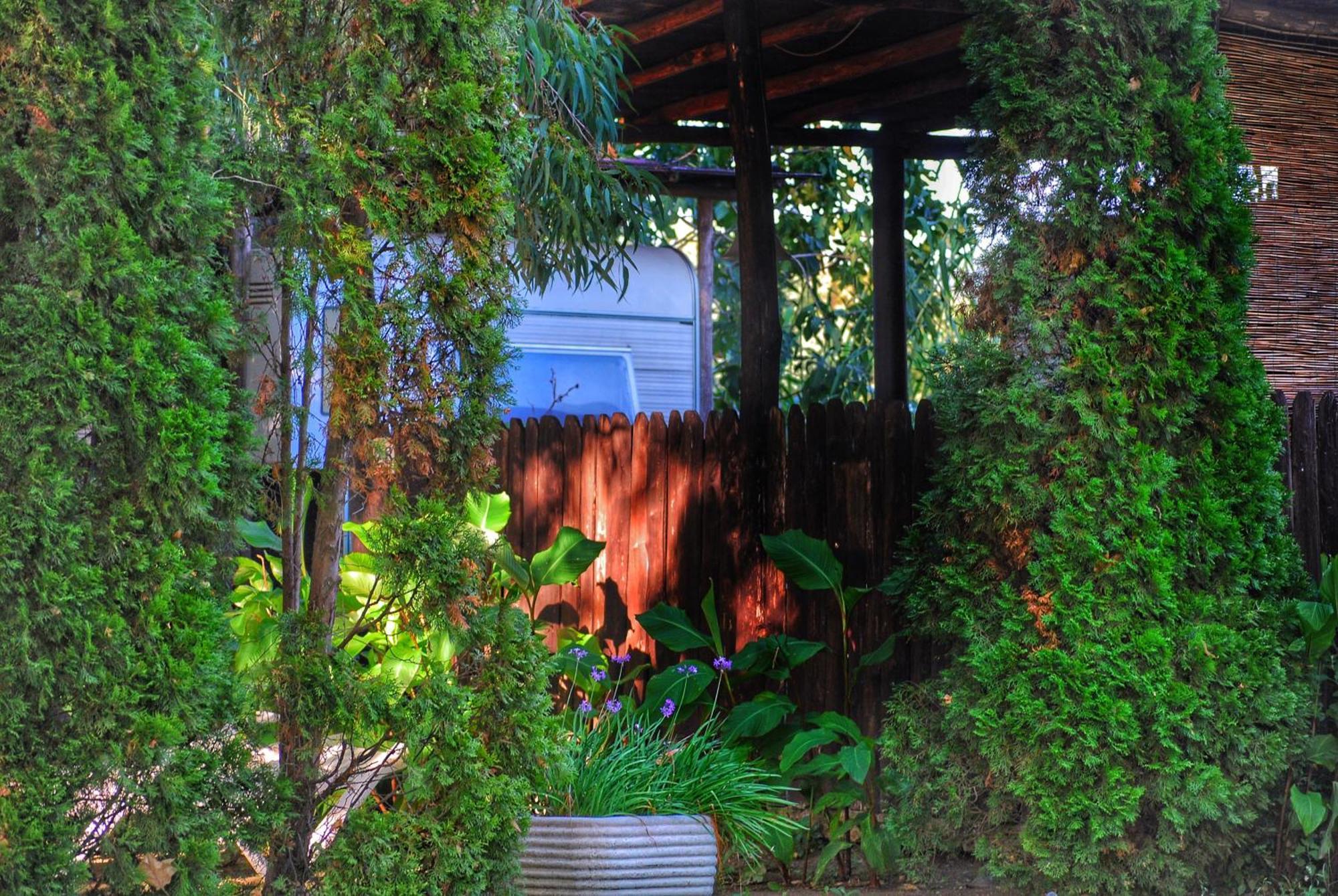 International Glamping Lago Di Bracciano เตรวินญาโน โรมาโน ภายนอก รูปภาพ