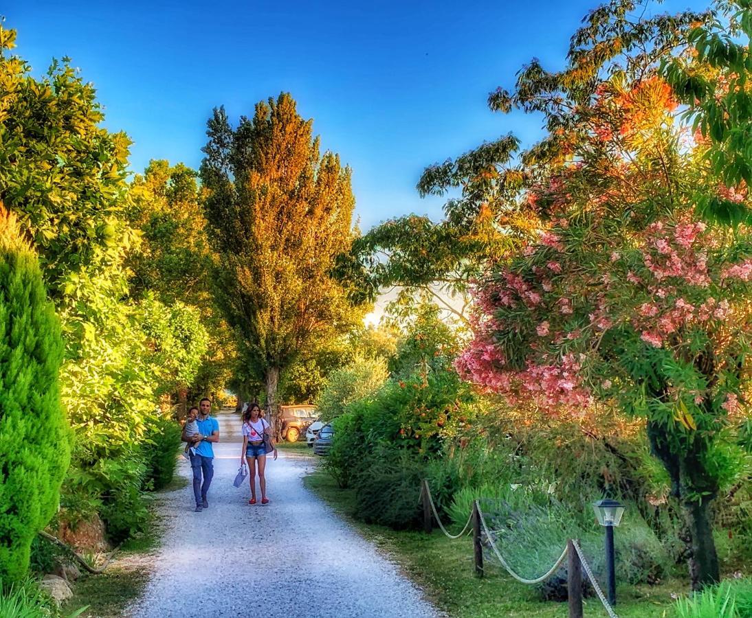 International Glamping Lago Di Bracciano เตรวินญาโน โรมาโน ภายนอก รูปภาพ